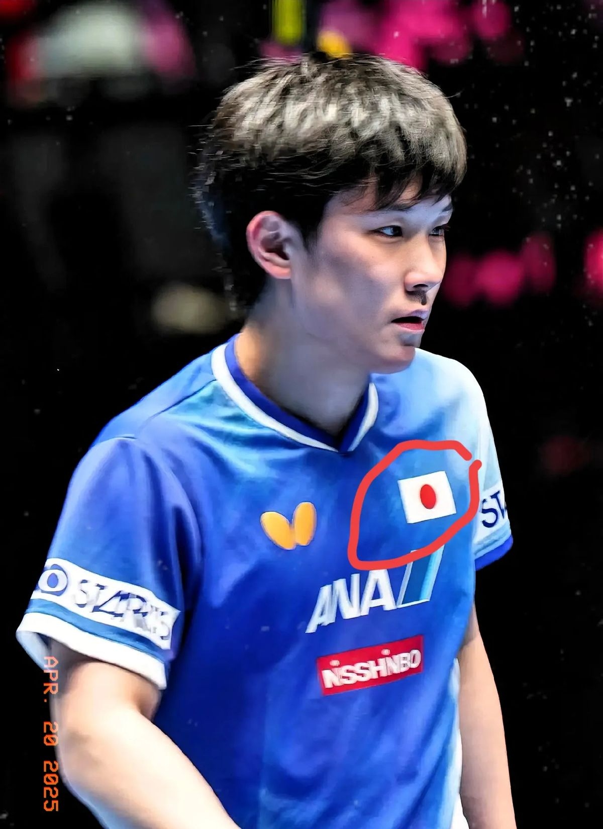 关于波兰乒乓球队力克中国乒乓球队，张本智和制霸全场的信息