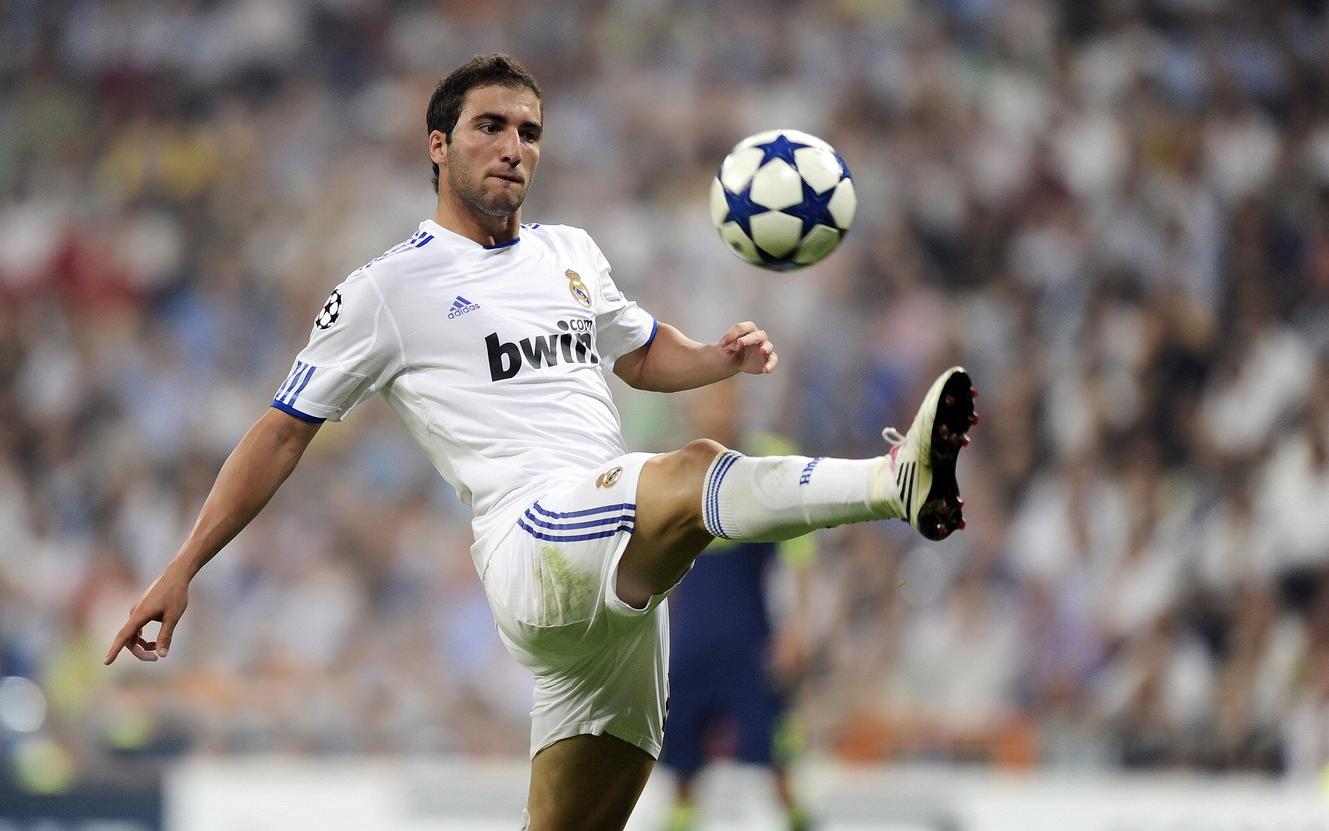 当潘帕斯雄鹰遇见非洲雄鹰，足球版图的奇妙交错与哈兰德现象